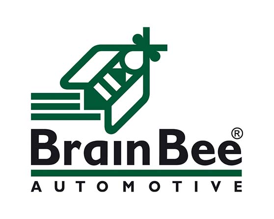 Brain bee automotive