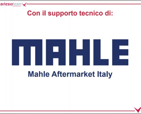 Webinar SGW in collaborazione con mahle aftermarket italy